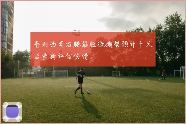 普利西奇右腿筋轻微撕裂预计十天后重新评估伤情