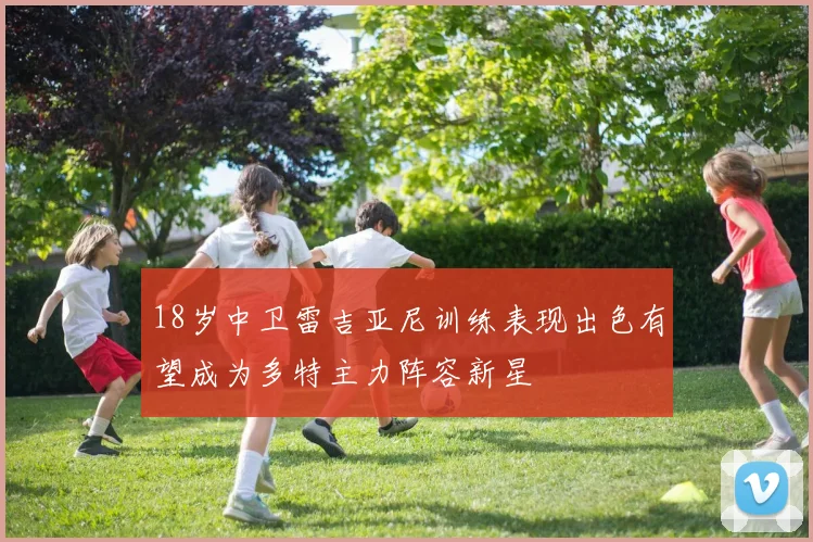 18岁中卫雷吉亚尼训练表现出色有望成为多特主力阵容新星