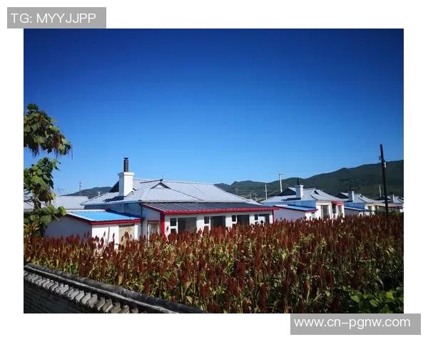 祝海港足球俱乐部球员孟敬朝生日快乐愿他在新的一岁里大展宏图